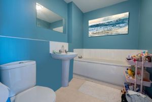 Photo 7- click for photo gallery